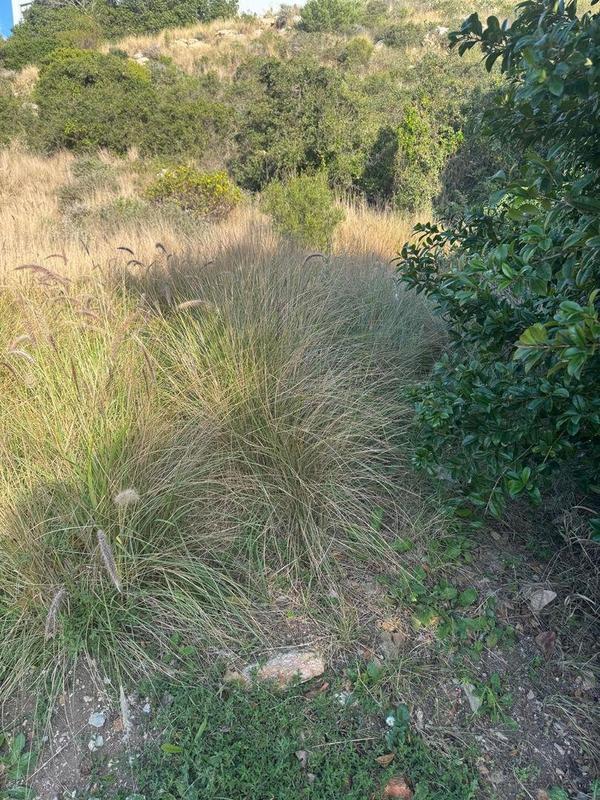 0 Bedroom Property for Sale in Mossel Bay Western Cape